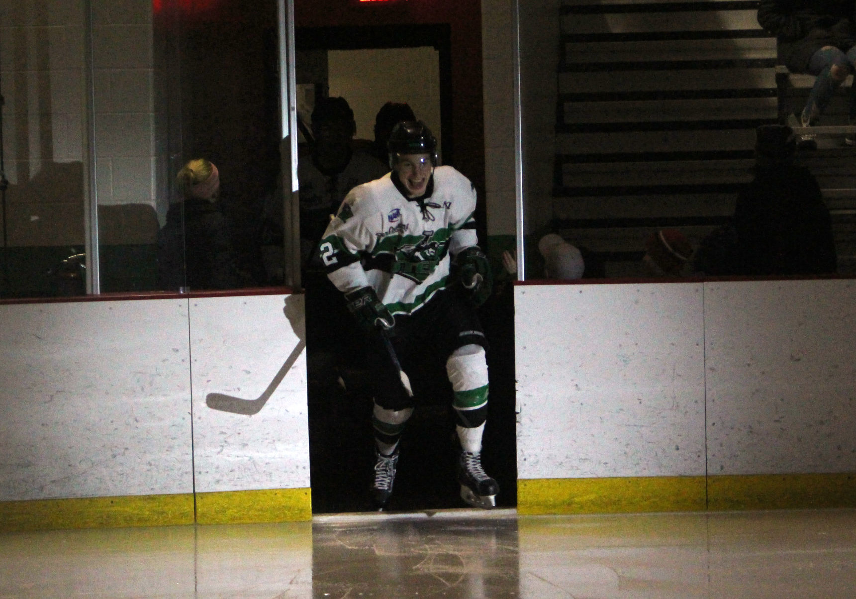 Fairbanks Ice Dogs at Chippewa Steel 12-29-18